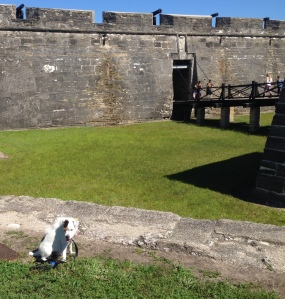 Archie at the Fort